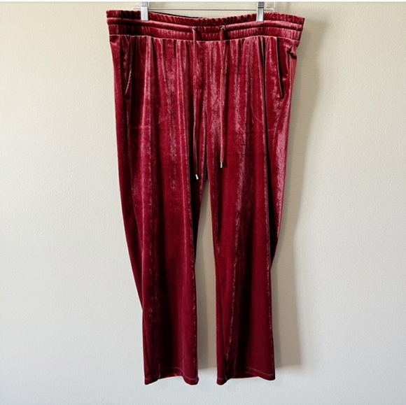 Torrid Wine Stretch Velvet Pull On Pants with Elastic Waist and Pockets - Picture 6 of 6